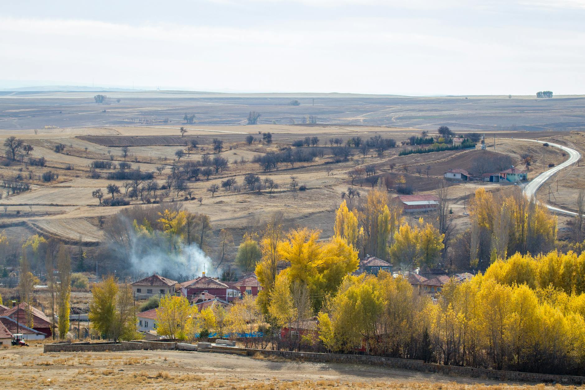 Jesienna wieś otoczona złotymi drzewami i polami