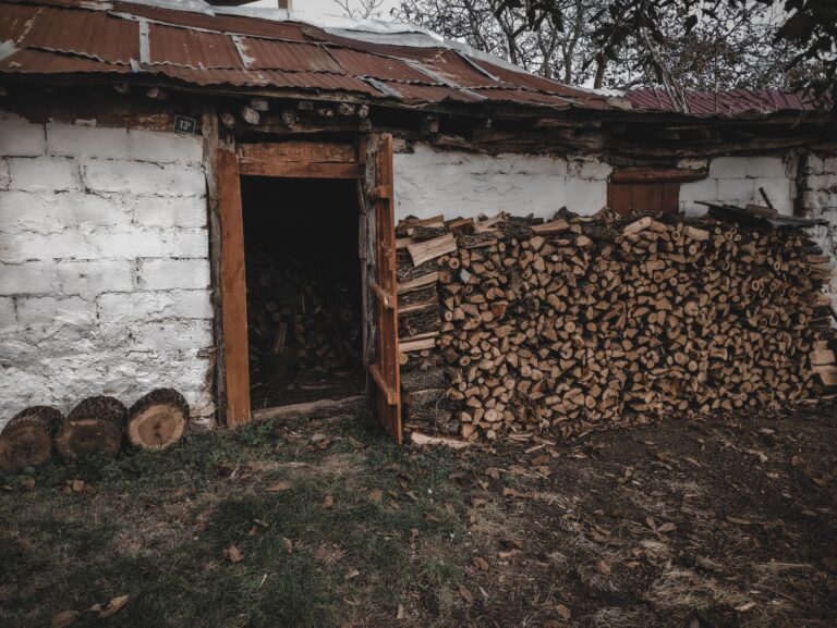 Stos drewna opałowego przy otwartych drzwiach drewnianej szopy